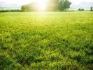 For sale Land Athis-mons  91200 404 m2