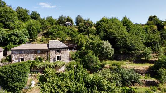 Vente Maison SAINT-FREZAL-DE-VENTALON 48240