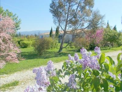 photo For sale House ISLE-SUR-LA-SORGUE 84