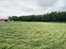 Annonce Vente Terrain Vic-fezensac