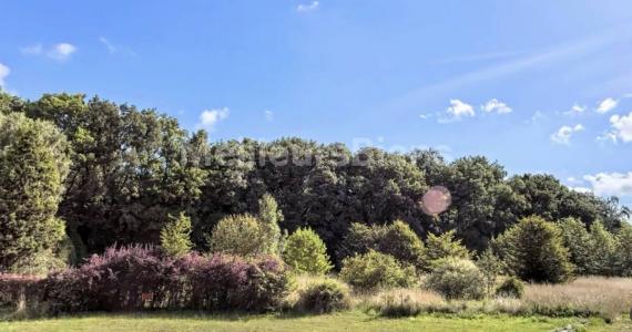 For sale Land RONCHEROLLES-EN-BRAY  76