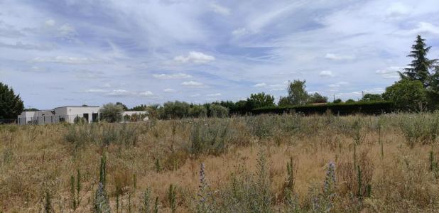 photo For sale Land MONTBARTIER 82