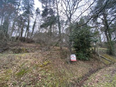 Vente Terrain BRIVE-LA-GAILLARDE 19100