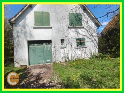 photo For sale House NERONDES 18