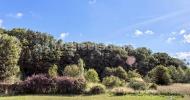 For sale Land Roncherolles-en-bray  76440 4520 m2