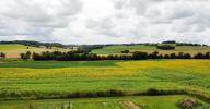 Annonce Vente 5 pièces Maison Sauvetat