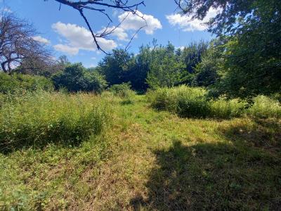 photo For sale Land ORCINES 63
