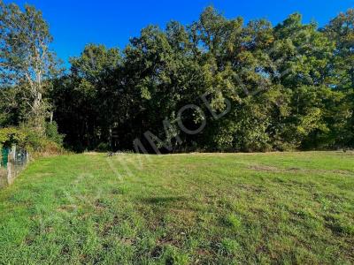 For sale Land SAVONNIERES  37