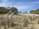 For sale Land Lasserre  31530 579 m2