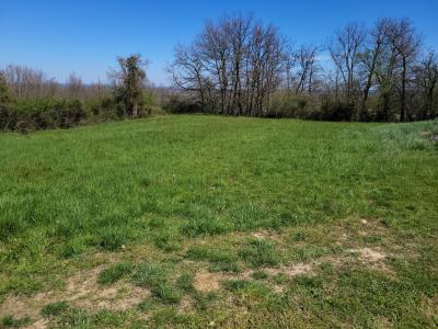 photo For sale Land MONTECH 82