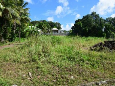 photo For sale Land DUCOS 972