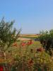 Vente Maison Floirac 17