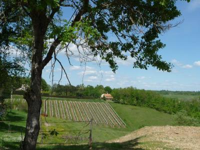 photo For sale House MOISSAC 82