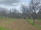 For sale Land Terrasson-lavilledieu  24120