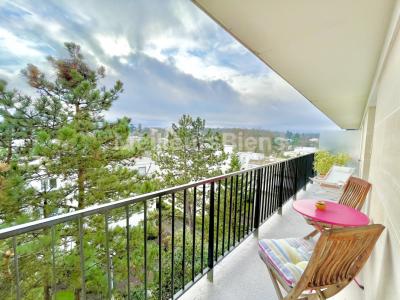 Vente Appartement 4 pièces VILLE-D'AVRAY 92410