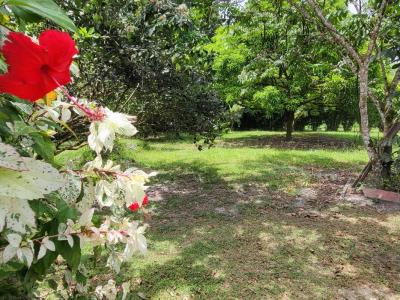For sale House MONTSINERY-TONNEGRANDE 