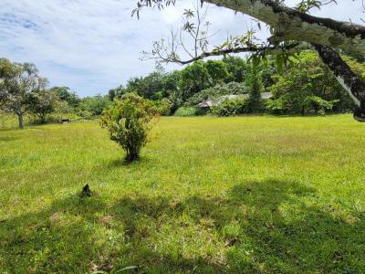 Vente Maison MONTSINERY-TONNEGRANDE 