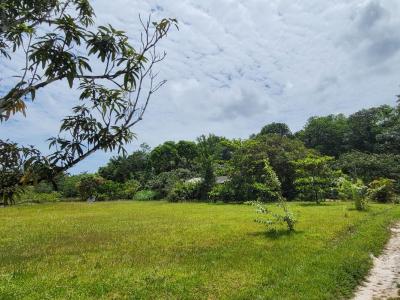 Vente Maison MONTSINERY-TONNEGRANDE 