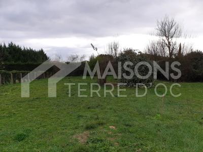 photo For sale Land CLERMONT-LE-FORT 31