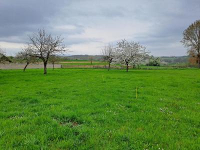 photo For sale Land FORSTHEIM 67