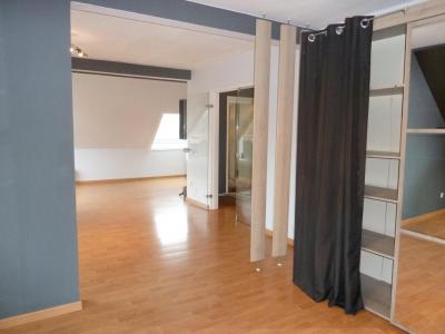 Vente Appartement HAGUENAU 