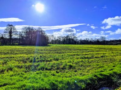 photo For sale Land BEIGNON 56