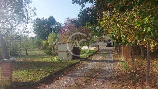 photo For sale House ALBI 81