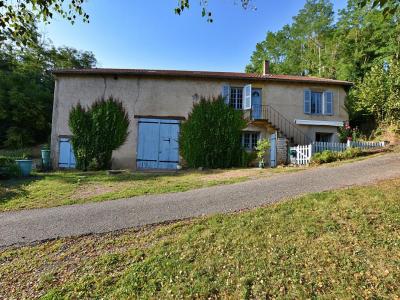 photo For sale Prestigious house FLEURY-LA-MONTAGNE 71