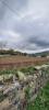 Acheter Terrain Yssingeaux 179000 euros