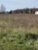 For sale Land Bois  17240