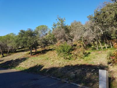 For sale Land ROCHEGUDE  26