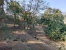 For sale Land Contes SCLOS DE CONTES 06390 1924 m2