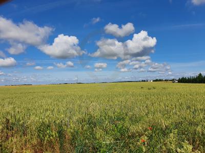 photo For sale Land ANGLIERS 86