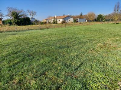 For sale Land GRISOLLES  82