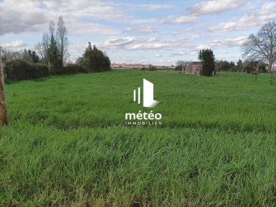 photo For sale Land LUCON 85