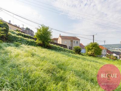 Vente Terrain BOUXIERES-AUX-DAMES 54136