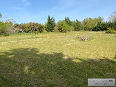 photo For sale Land BRAM 11