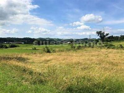 photo For sale Land ROUGEMONT 25