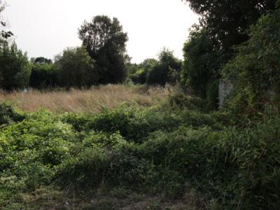photo For sale Land CHATELLERAULT 86