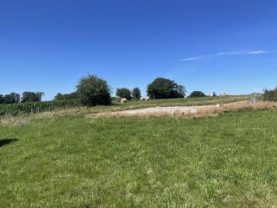 Vente Terrain SAINT-BONNET-BRIANCE  87