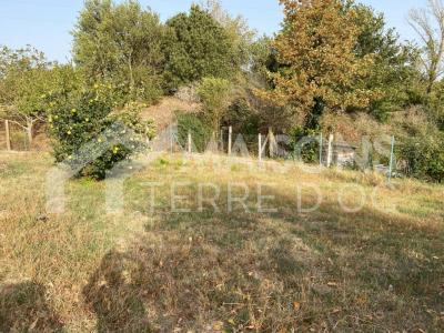 For sale House LABRUGUIERE
