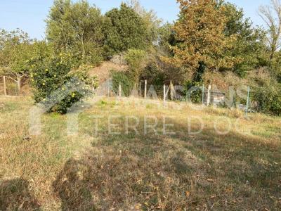 For sale Land LABRUGUIERE  81