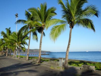 photo For sale Apartment SAINT-PAUL 974