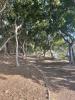 For sale Commerce Saint-paul 97460