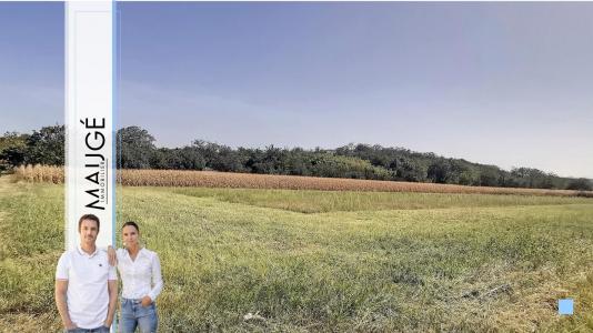 photo For sale Land CHAPONNAY 69