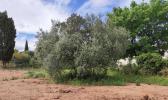 For sale Land Clermont-l'herault  34800