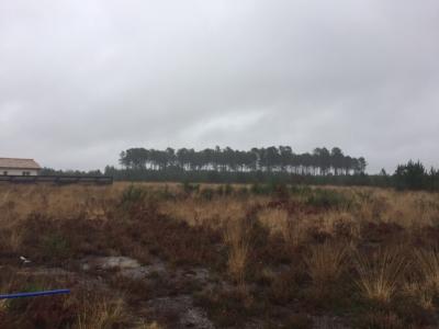 photo For sale Land PARENTIS-EN-BORN 40