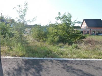 For sale Land BITSCHHOFFEN NEUBOURG 67