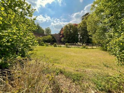 Vente Commerce CHAMBORD 41250