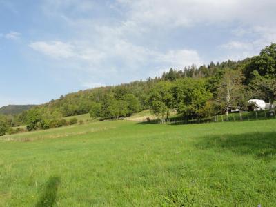 photo For sale Land MERLAS 38